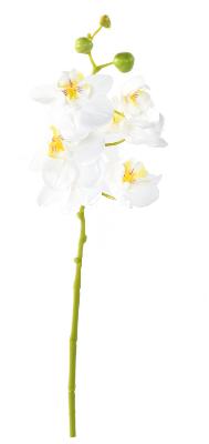 Fleur artificielle Orchidée Phalaenopsis 6 fleurs - Fresh Touch - H.60cm blanc