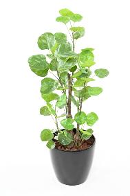 Plante artificielle Aralia Fabian - plante synthétique pour intérieur - H.90cm