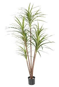 Plante artificielle Dracaena Marginata - décoration d'intérieur - H.160cm vert