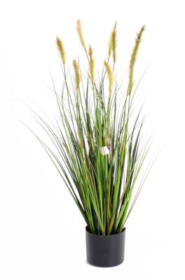 Plante artificielle Graminée Vulpin des champs Foxtail en pot - intérieur - H.60cm