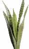 Plante artificielle Sansevieria piquet - succulente pour intérieur - H. 60cm vert