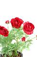 Plante artificielle fleurie - Renoncule rouge en piquet - H.38 cm rouge