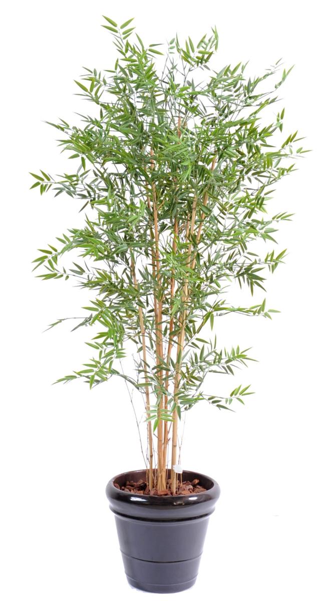 Bambou Artificiel Hauteur 180 cm