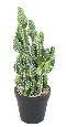 Cactus artificiel en pot - plante synthétique d'intérieur - H. 35 cm vert