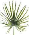 Feuillage artificiel Camerus palme PLAST- intérieur extérieur - H.130 cm