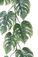 Feuillage artificiel guirlande de Philo large - plante pour intérieur - H.190cm vert