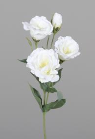 Fleur artificielle Lisianthus Eustoma - création de bouquet - H.50cm crème
