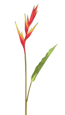 Fleur artificielle Oiseau de paradis - décoration d'intérieur - H.109cm rouge