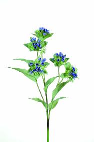 Fleur artificielle de Marogravia - création florale intérieur - H.67cm bleu