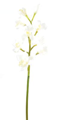 Fleur coupée Orchidée Cymbidium - création bouquet artificiel - H.100cm blanc