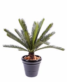 Palmier artificiel Cycas tronc - plante intérieur extérieur - H.100cm vert