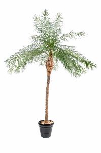 Palmier artificiel Phoenix New - plante d'intérieur - H.190cm vert