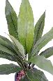 Plante artificielle Dracaena Cordyline en piquet - intérieur - H.60 cm vert