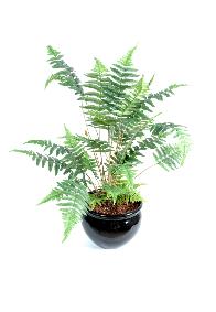 Plante artificielle Fougère des bois en piquet - plante d'intérieur - H.50cm vert