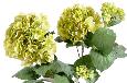 Plante artificielle Hortensia en piquet - fleurs pour intérieur - H.82cm vert