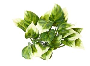 Plante artificielle Philo Bush en piquet -plante d'intérieur - H.25cm vert blanc