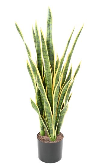 Plante artificielle Sansevieria 24 feuilles - décoration d'intérieur - H.85cm panaché