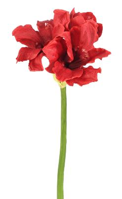 Amaryllis artificielle 2 fleurs 1 bouton - composition florale - H.66 cm rouge