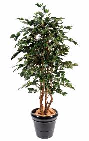 Arbre artificiel Ficus Exotica - plante d'intérieur - H.210cm vert