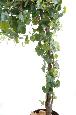 Arbre artificiel fruitier Vigne Round - plante pour intérieur - H.200cm