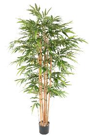 Bambou artificiel Gamme Eco 7 cannes 1500 feuilles - intérieur - H.200cm vert