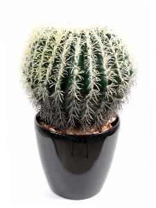 Cactus artificiel coussin de belle-mère - plante d'intérieur - H. 54cm vert blanc