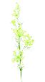 Fleur artificielle Daucus Carota - création bouquet pour intérieur - H. 120cm blanc