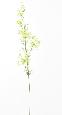 Fleur artificielle Daucus Carota - création bouquet pour intérieur - H. 120cm blanc