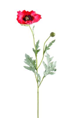 Fleur artificielle Pavot 1T 1B - fleur des champs - H.66 cm fuchsia