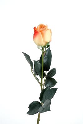 Fleur artificielle coupée rose bouton Lisa - natural touch - H.60cm jaune