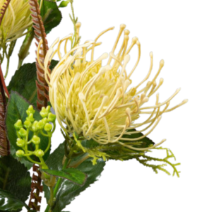 Fleur artificielle tige de Protea - création florale intérieur - H.82cm vert crème