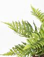 Fougère artificielle en piquet 12 branches - plante extérieur - H.50cm vert