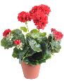 Géranium en piquet 5 têtes - Plante fleurie artificielle - H.40cm rouge