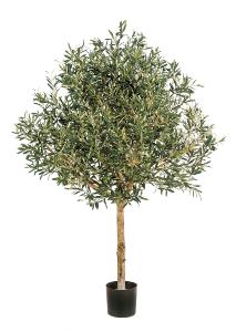 Arbre fruitier artificiel Olivier tête large et olives - plante pour intérieur - H.170cm