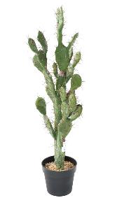 Plante artificielle Cactus Plat - Plante pour intérieur - H. 104cm vert