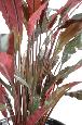 Plante artificielle Calathea - décoration d'intérieur - H.85cm vert rouge