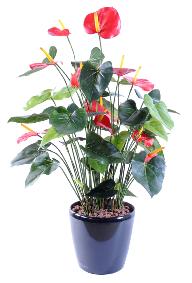 Plante artificielle fleurie Anthurium en pot - décoration d'intérieur - H.78cm rouge