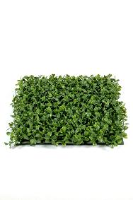 Plaque végétale artificielle Buis - feuilles UV résistant - 25cm vert