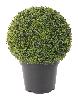 Plante artificielle Buis Boule en pot - intérieur extérieur - Ø.38cm vert