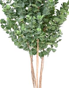 Arbre artificiel Eucalyptus Gunnii - plante synthétique d'intérieur - H.150cm