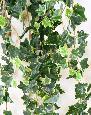 Feuillage artificiel chute de Lierre en piquet - 1039 feuilles artificielles - H.200cm panaché