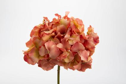 Fleur artificielle Hortensia Altona - création bouquet - H.48cm corail