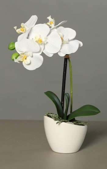 Fleur artificielle Orchidée pot céramique blanc - plante d'intérieur - H.30cm