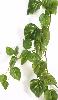 Guirlande artificielle Pothos 68 feuilles - décoration pour intérieur - H.180cm vert blanc