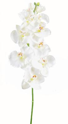 Orchidée artificielle Phalaenopsis tige large - création bouquet - H.110 cm blanc