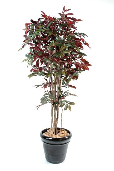 Plante artificielle Capensia Nice - décoration d'intérieur - H.170cm vert rouge