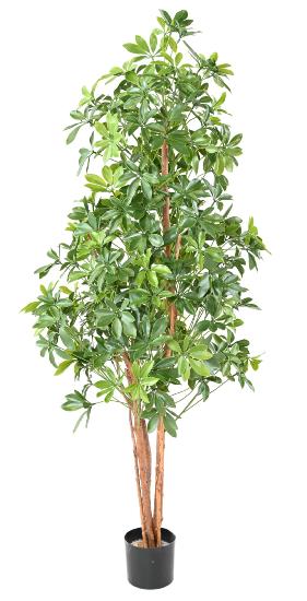Plante artificielle Choisya Tree Plast UV - intérieur extérieur - H.180cm
