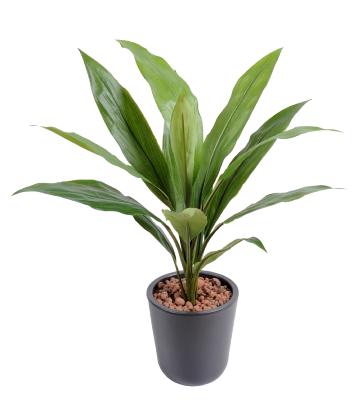 Plante artificielle Dracaena Cordyline en piquet - intérieur - H.60cm vert