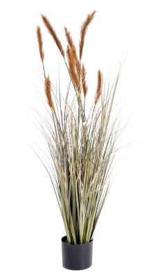 Plante artificielle Graminée Vulpin des champs Foxtail en pot - intérieur - H.120cm Brun