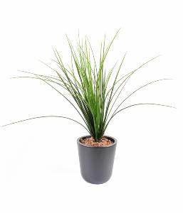 Plante artificielle Herbe Onion Grass plastique en piquet - intérieur extérieur - H.55cm